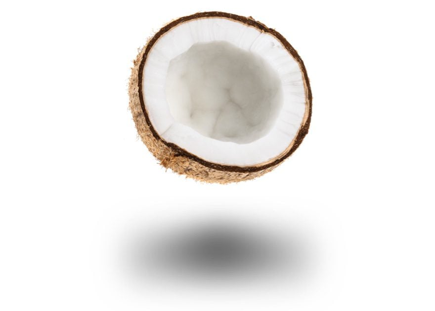 coconut