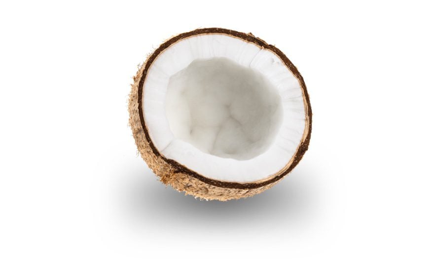 coconut sitting