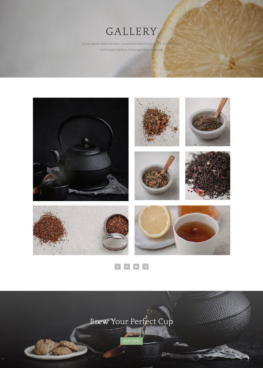 tea shop gallery page