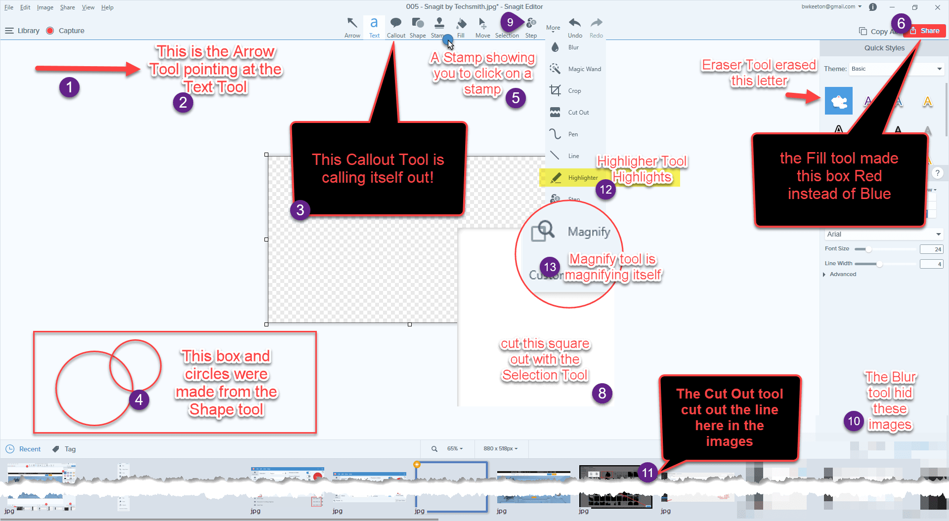 how to use snagit