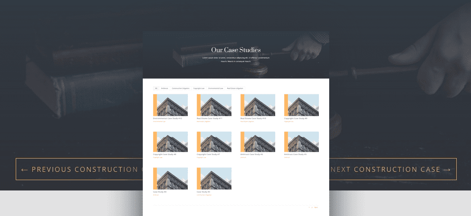 How to Use a Filterable Portfolio and Post Navigation to Organize Case Studies with Divi