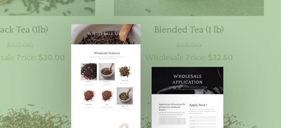 How to Add Wholesale Options to Your Divi & WooCommerce Powered Shop