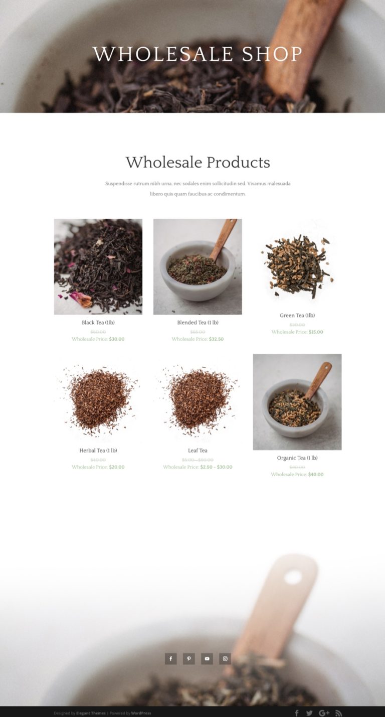 How to Add Wholesale Options to Your Divi & Powered Shop