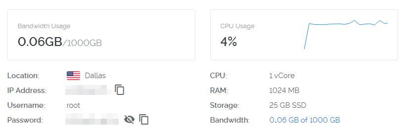 An example of a VPS dashboard.