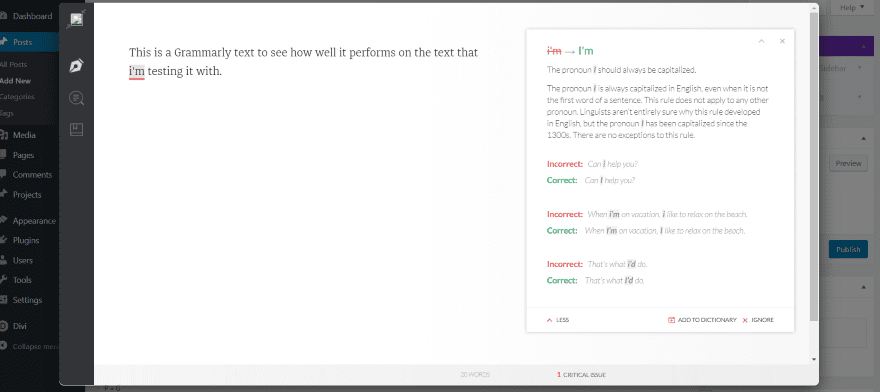 Grammarly Document Editor