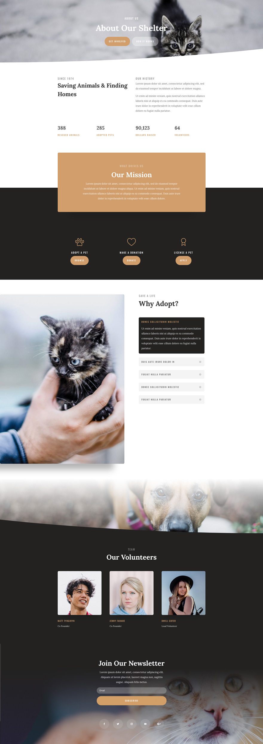 Animal Shelter Divi Layout