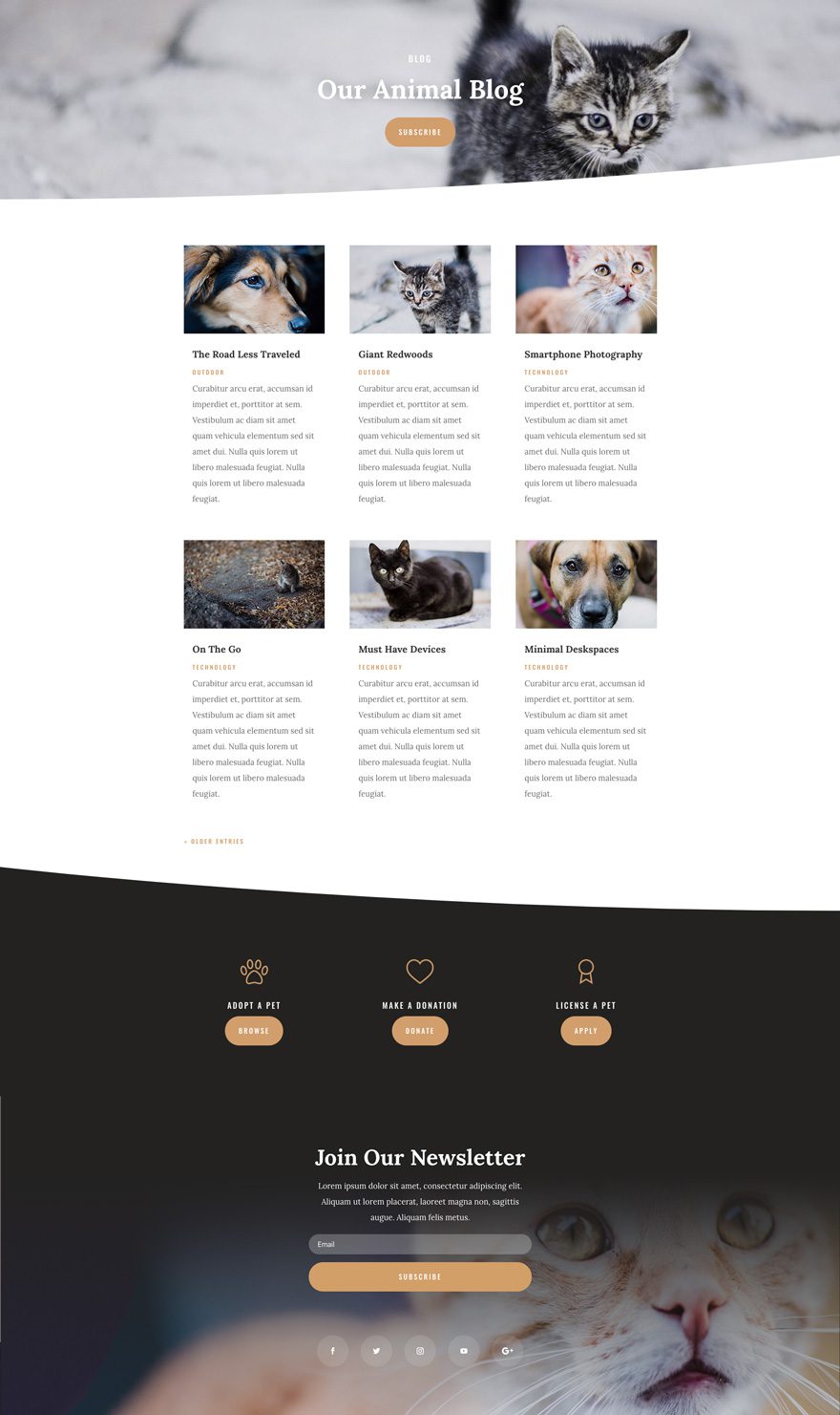 Animal Shelter Divi Layout