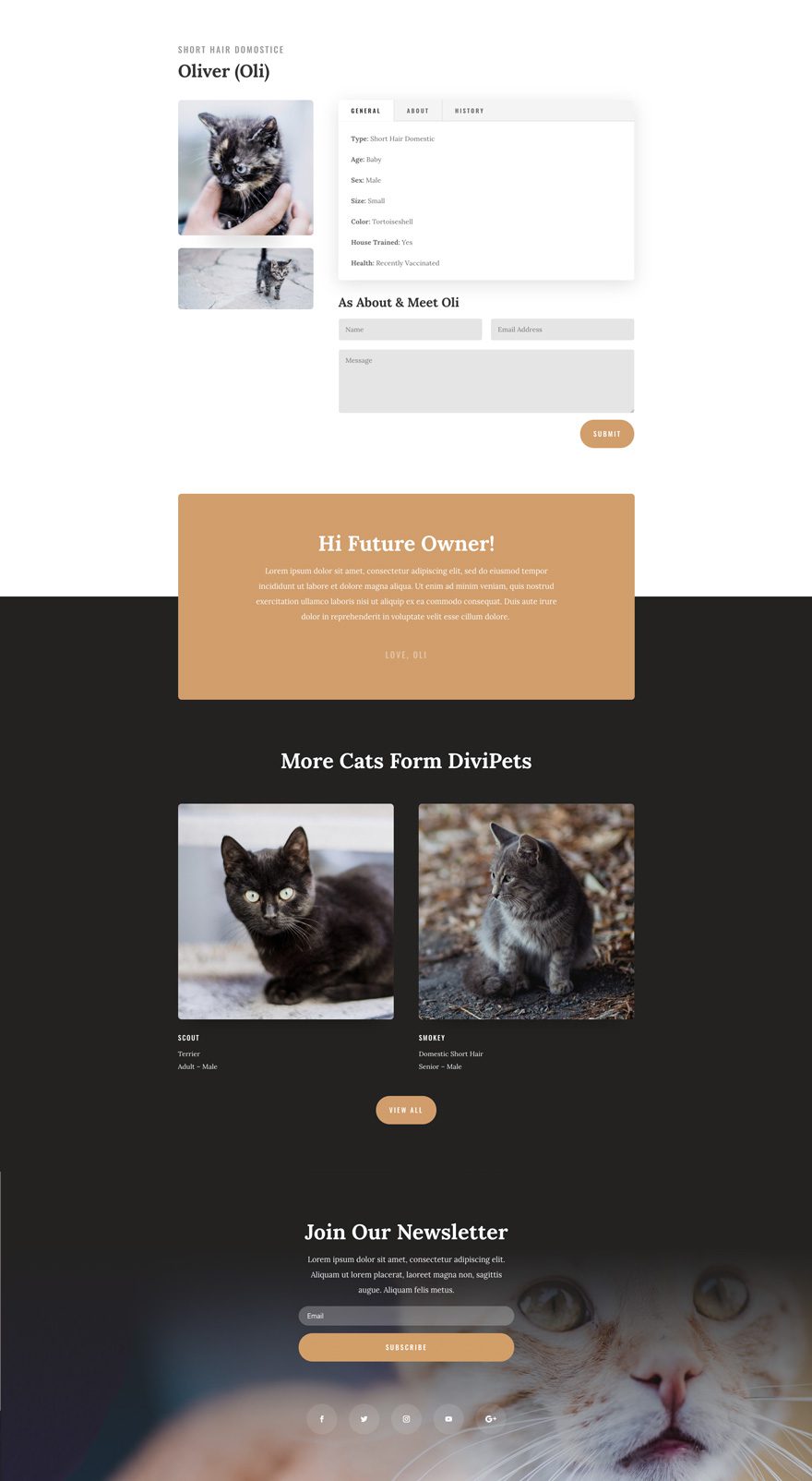 Animal Shelter Divi Layout