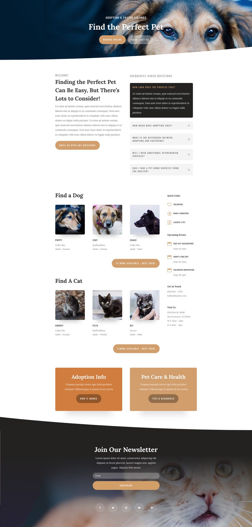 Animal Shelter Divi Layout