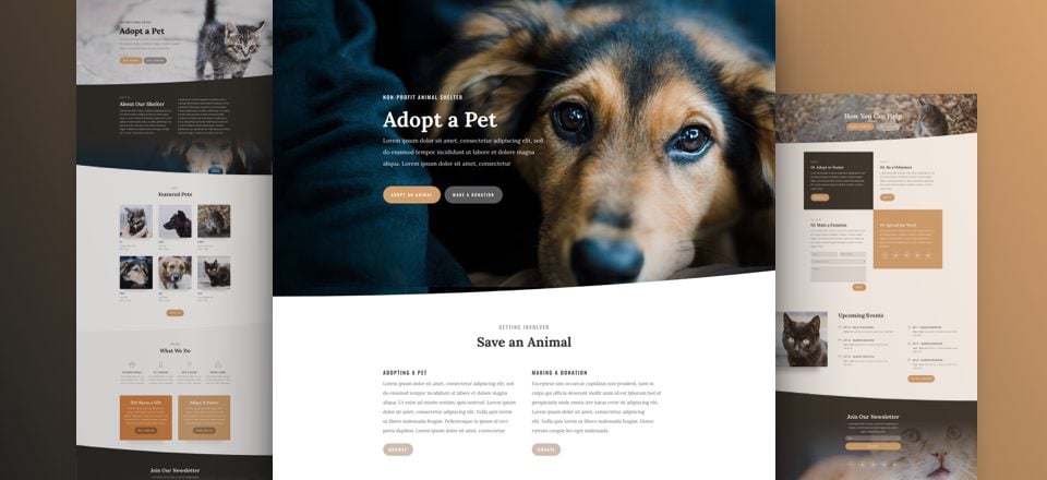 Get a FREE & Captivating Animal Shelter Layout Pack for Divi