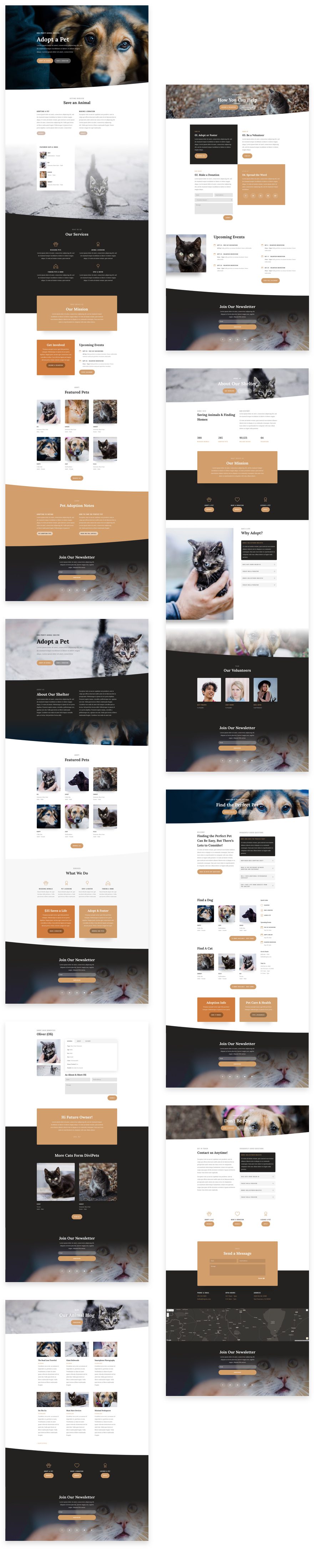 Animal Shelter Divi Layout