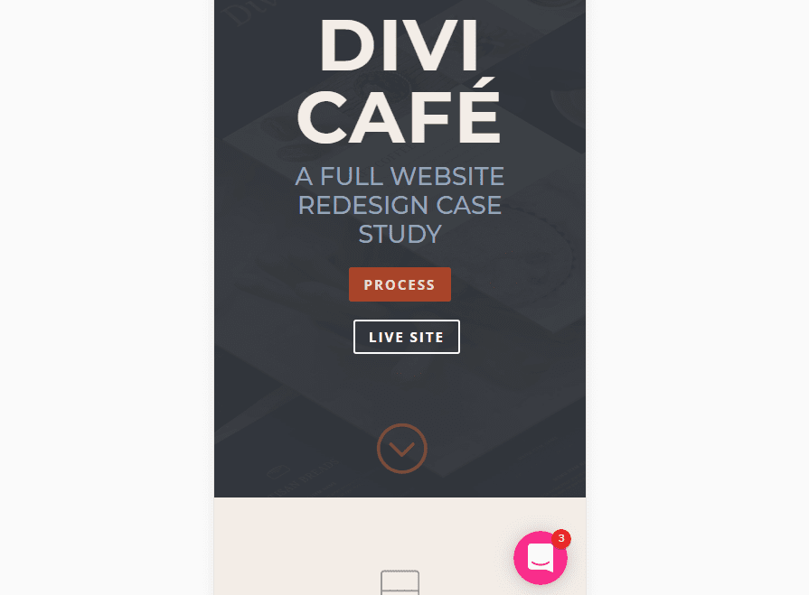 One of Divi's demo pages.