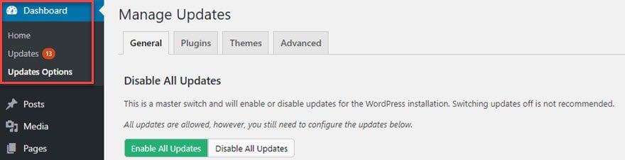 Manage WordPress Updates
