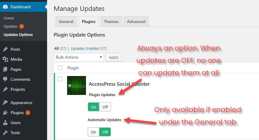 Manage WordPress Updates