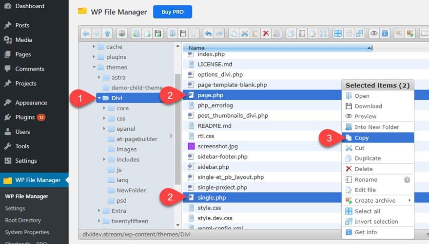 WP File Manager for WordPress Dashboard