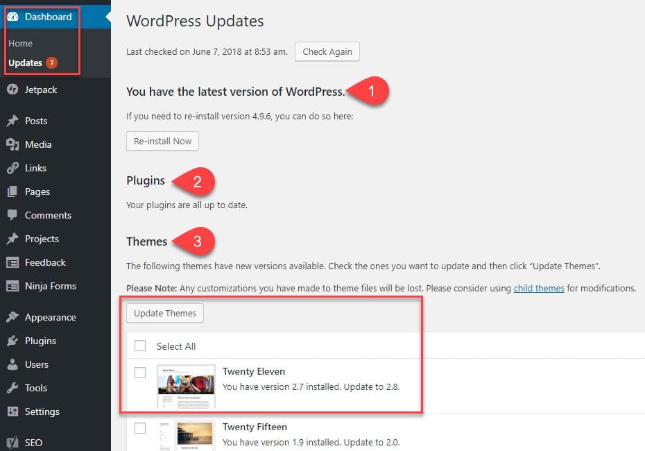 Manage WordPress Updates