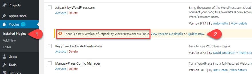 Manage WordPress Updates