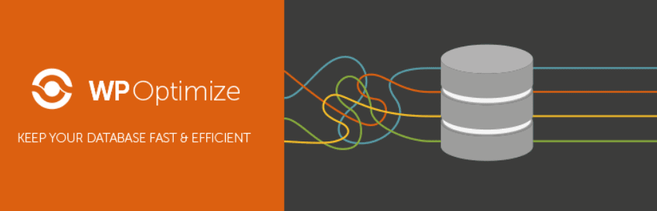 The WP Optimize plugin.