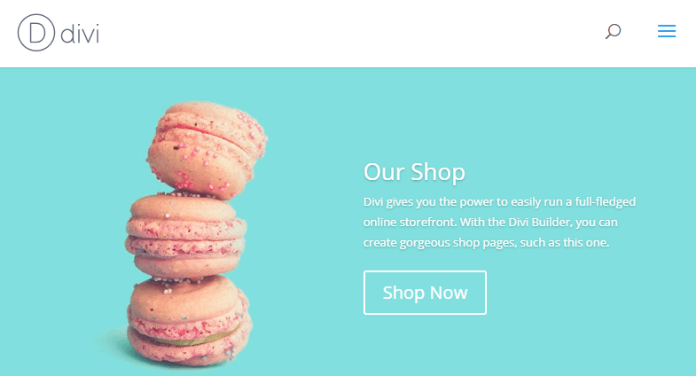 An example of a Divi WooCommerce shop.