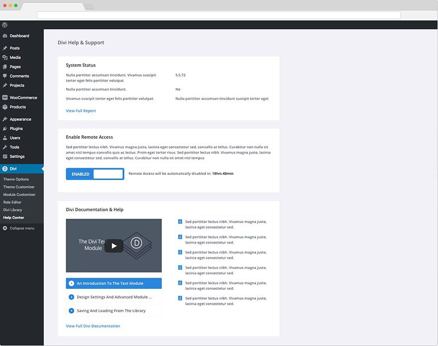 divi-support-center-remote-access