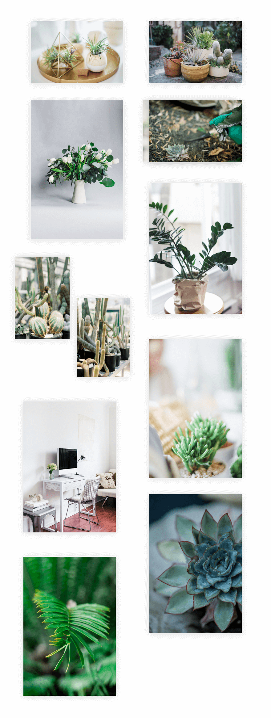 plant nursery Divi Layout Pack