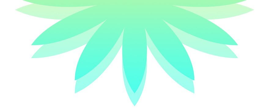 vibrant background styles