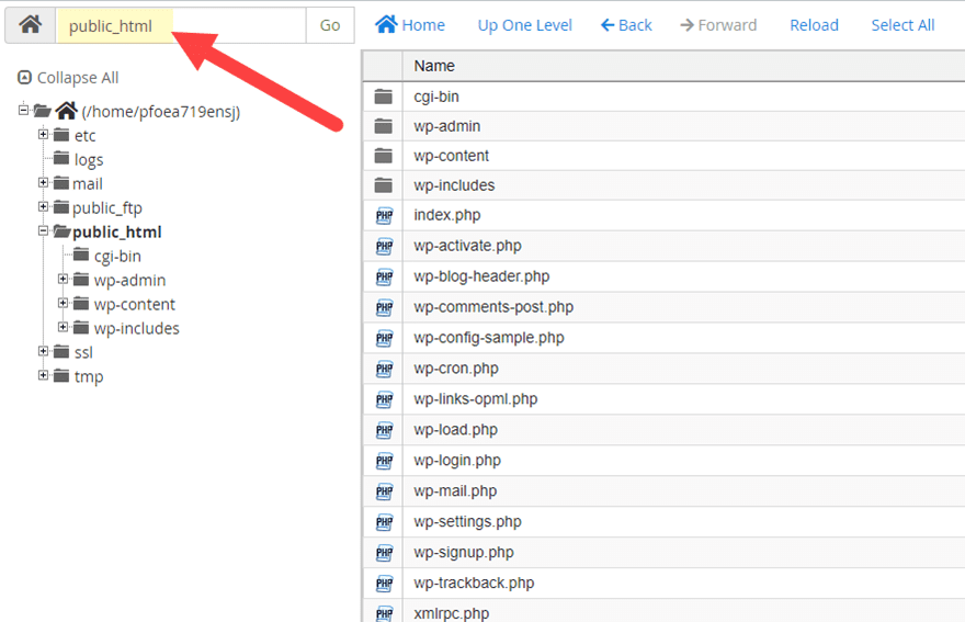 installed wordpress files in directory