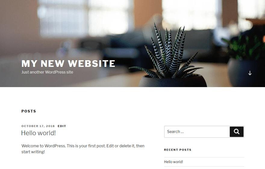 live site after wordpress install