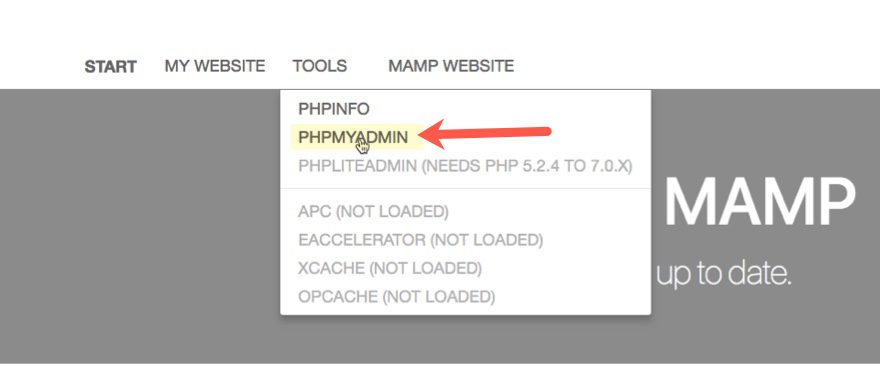 phpmyadmin in mamp