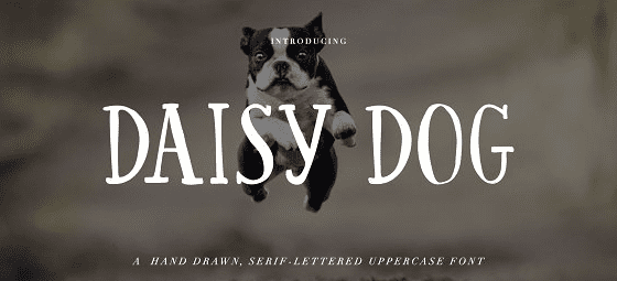 The Daisy Dog font.