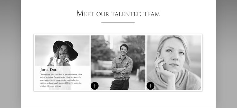 bio hover effect