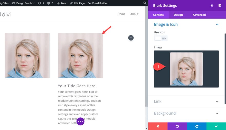 divi microinteractions