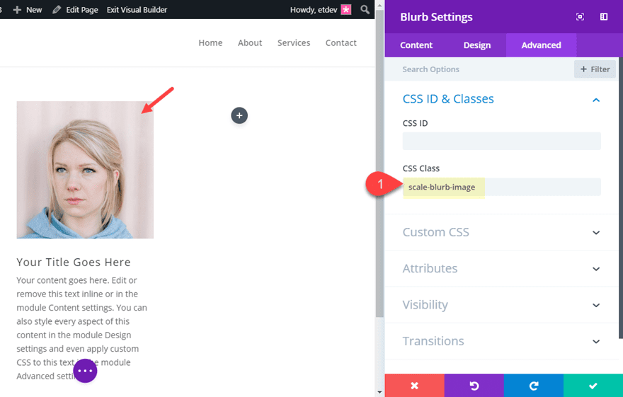 divi microinteractions