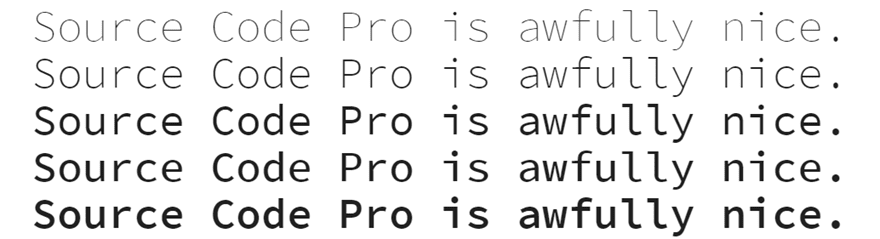 Best Programming Fonts