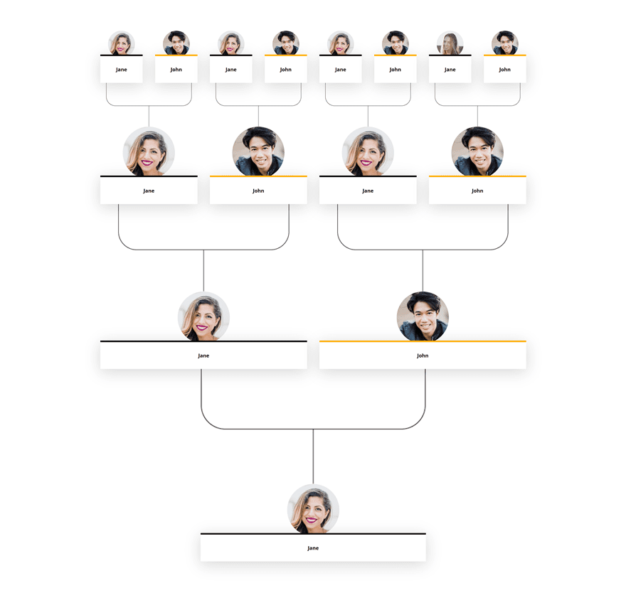 family tree