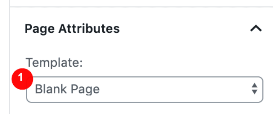 screenshot of Divi Page Attributes - Blank Page