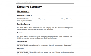 business plan for website example