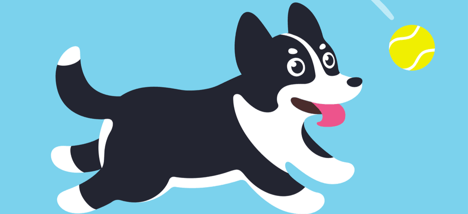 Fetch Fetch