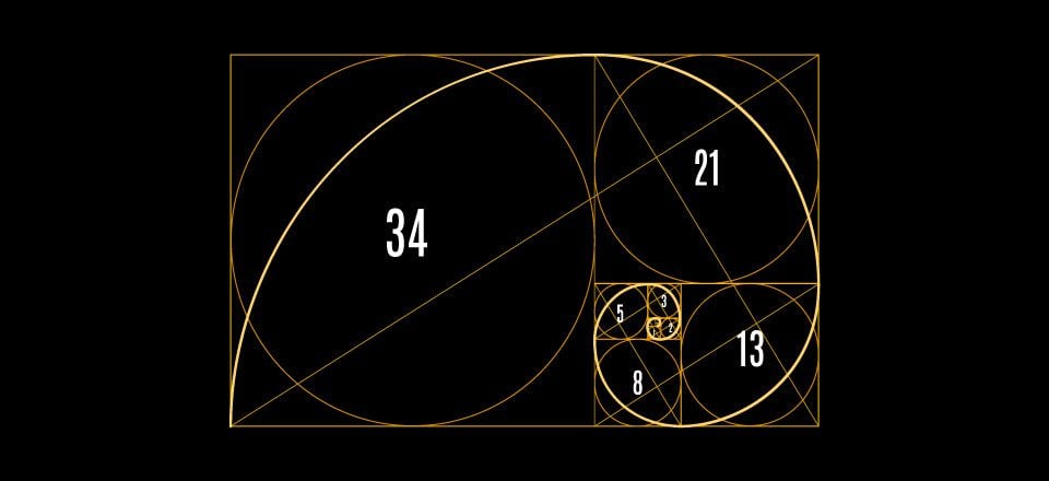 The Human Skull Obeys the 'Golden Ratio,' Study Suggests