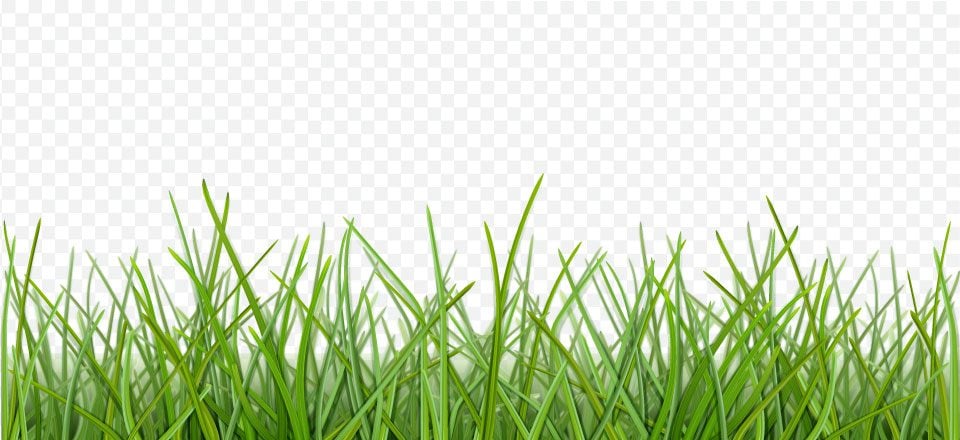 Make the background of an image or photo transparent / translucent