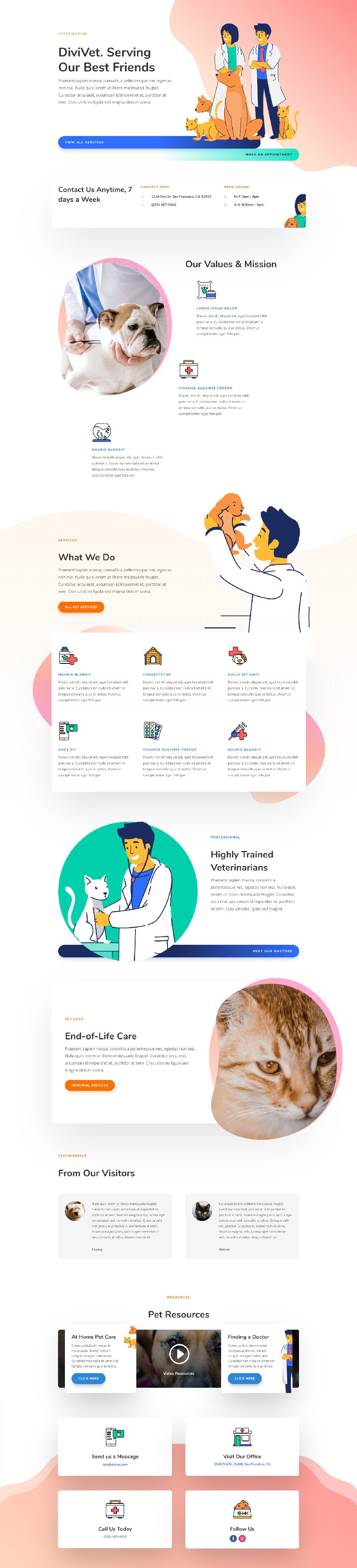 veterinarian layout pack