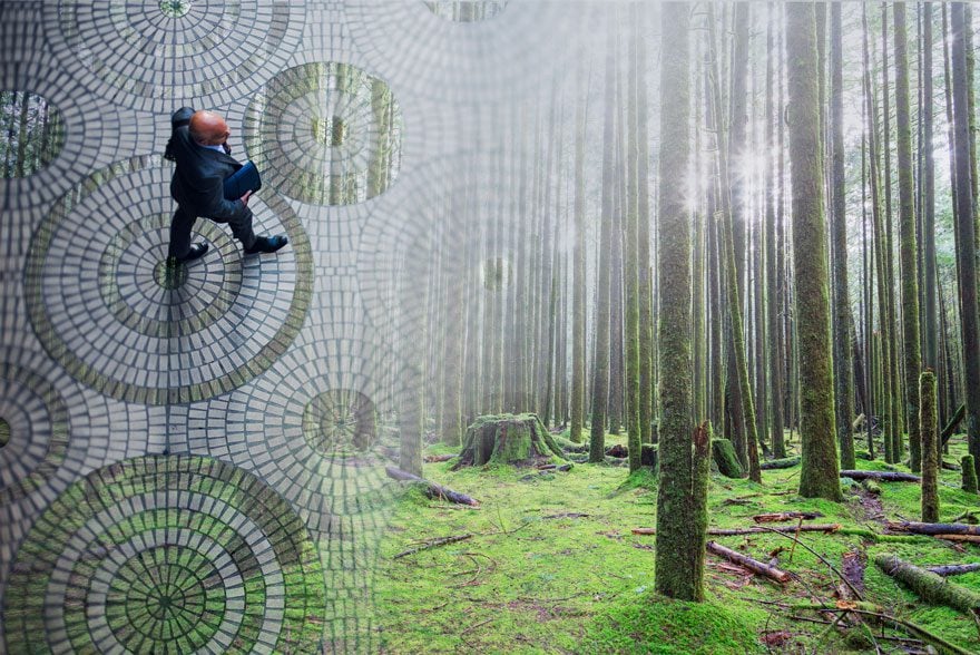 hombre sobre el bosque caminando