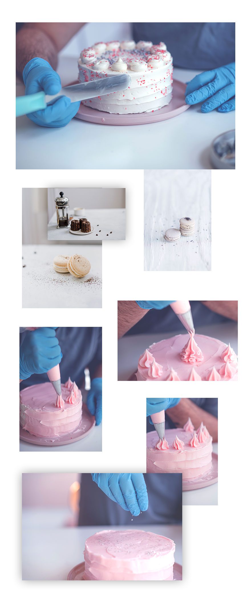 creador de pasteles divi paquete de diseño