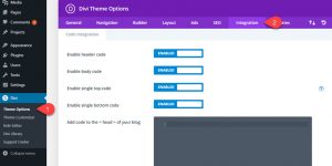 Best Practices for Using External JavaScript Snippets with Divi ...