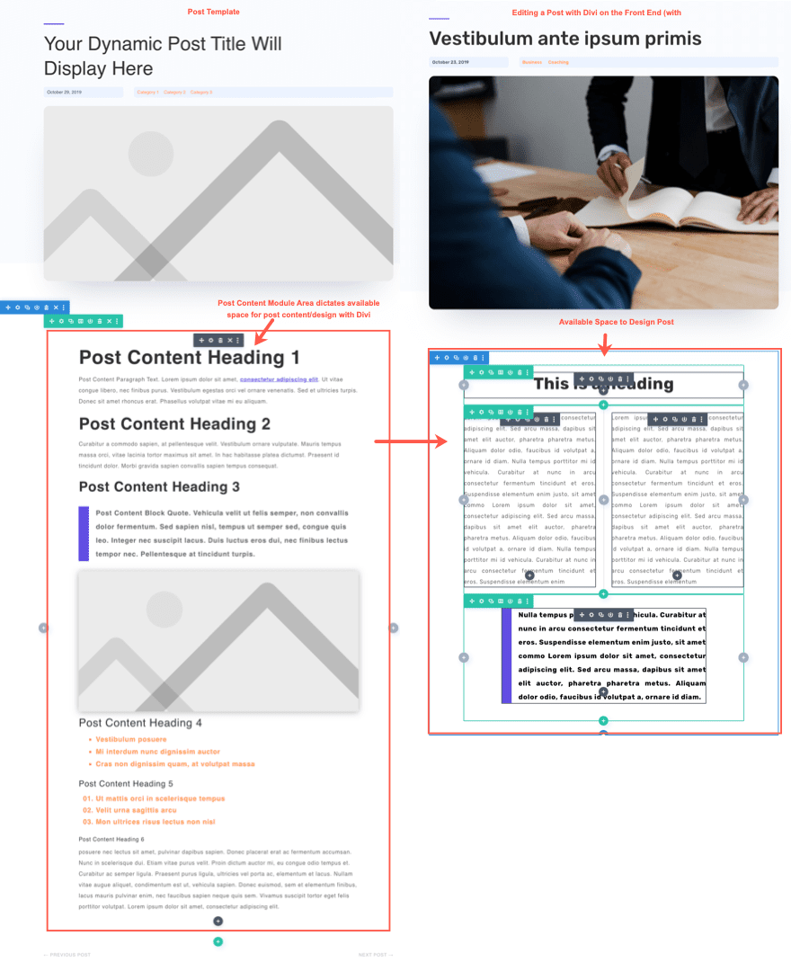 Divi Post Content Module