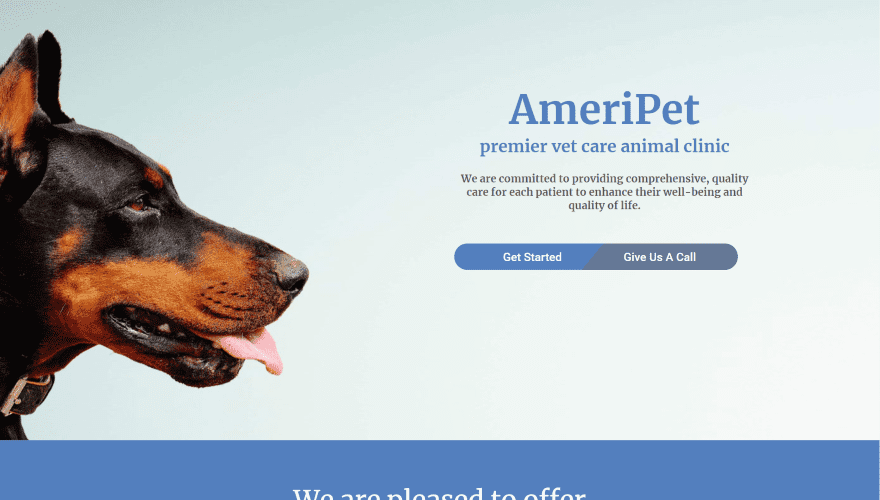 9 Divi Layouts for Veterinarian Websites 1