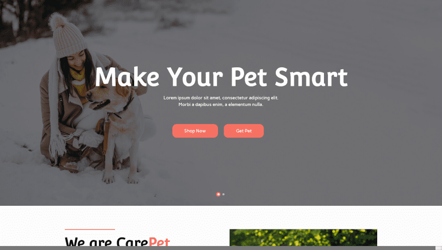 9 Divi Layouts for Veterinarian Websites 6