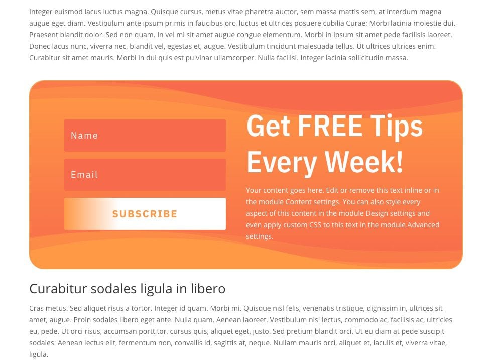 Gutenberg Divi Email Optin