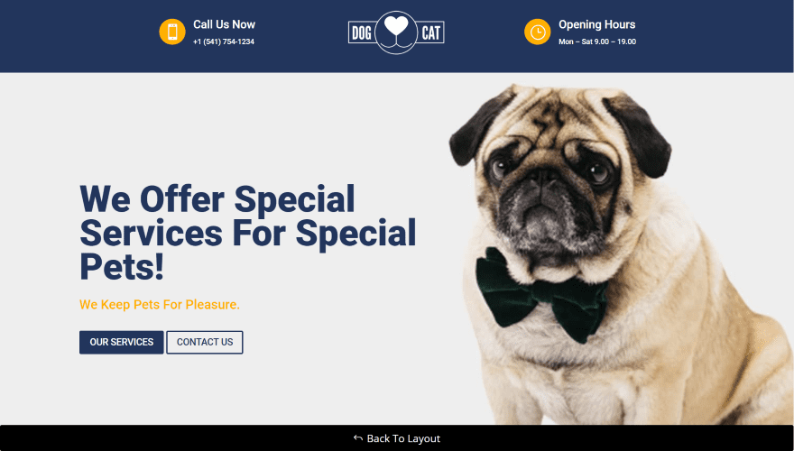 9 Divi Layouts for Veterinarian Websites 2