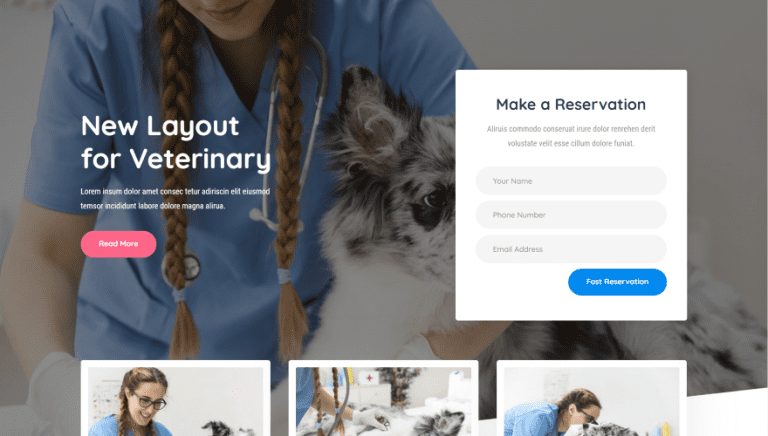 Veterinary Blog Layout 9 Divi Layouts for Veterinarian Websites